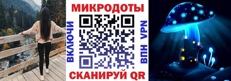 закладки  Химки  Галлюциногенные грибы Psilocybe 